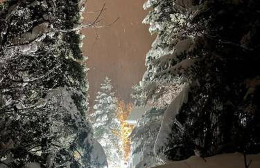 The forest chalet in Parnassus - Foto 39