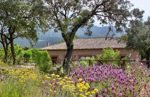 Casa Rural La Joyona - Foto 1