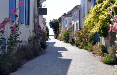 Vintage Guesthouse - Foto 22