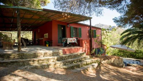 Casa Nocella a Bagnaia - Goelba - Foto 4, Garden