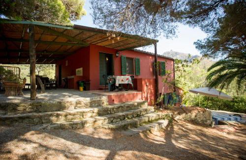 Casa Nocella a Bagnaia - Goelba - Foto 4