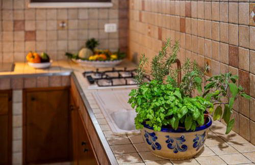 Exclusive Palm House near the beach - Foto 28