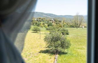 Agua de mayo - Photo 30