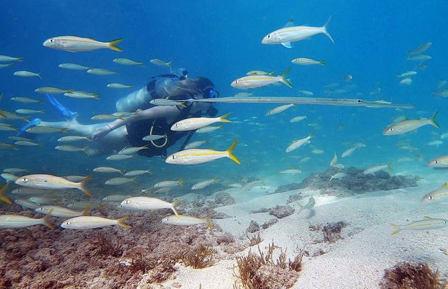 Baptême de plongée à San Juan - Photo 2