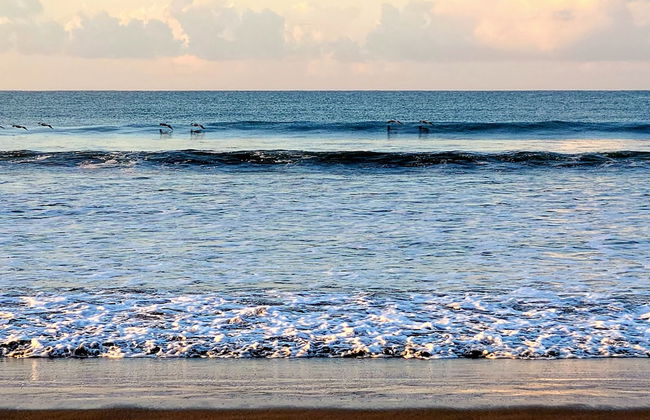 Villas Playa Palo Seco - Foto 32