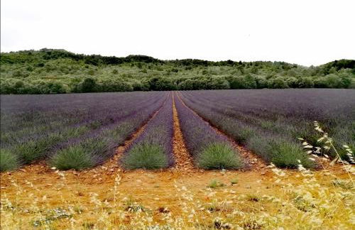 La retapée - Foto 26