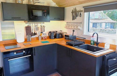 CABIN 8 Pet friendly Family glamping Seaview - Photo 21