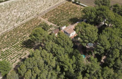 Mas Misajail - Foto 49