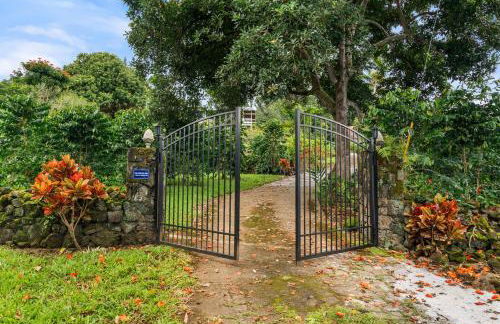 Orchid Hale - Foto 50