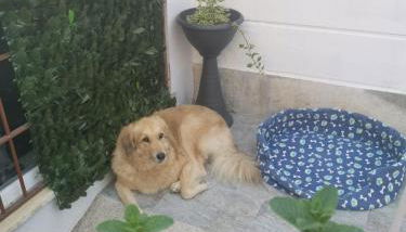 OFFICINALE Rome Apartment, Pineta Sacchetti - Foto 4