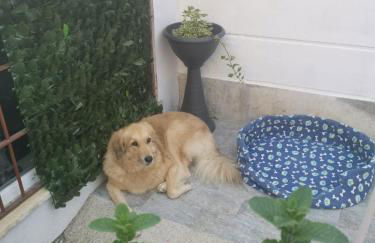 OFFICINALE Rome Apartment, Pineta Sacchetti - Foto 4