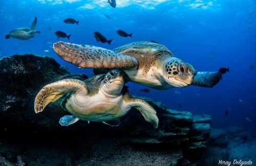 Mundo Beach House, Playa San Marcos, Tenerife - Foto 30