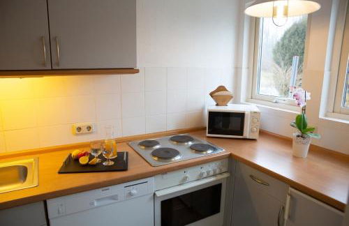 Ferienwohnungen an den Salzwiesen - Foto 45