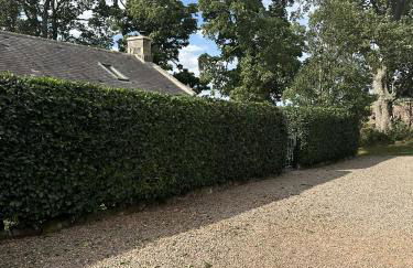 Up North Stays - Foto 48