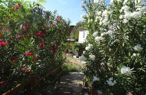 Les Ecrins d'Aix-en-Provence - Foto 55