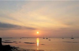 Little Gem - Photo 4