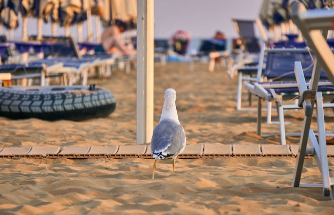 Flat With Terrace Overlooking the Pool - Foto 15