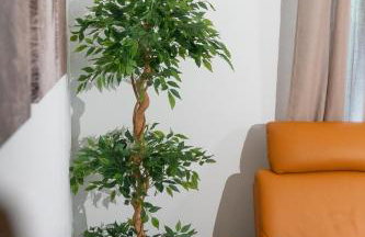 Vita Nova Wellnesslounge - Exclusive Remise - Foto 31