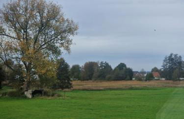 Ferienwohnungen Dümmersee - Haus Dümmerland - Wohnung 1 - Foto 11