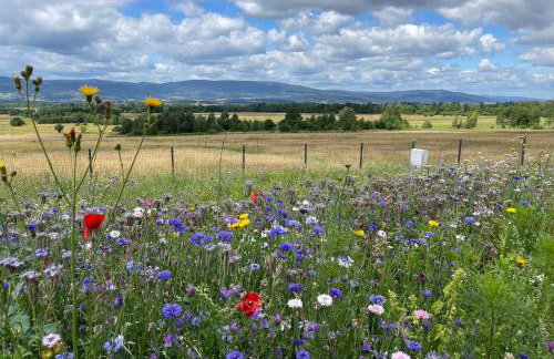 Samsara Domek koło Międzygórza Z sauną i klimatyzacją - Foto 43