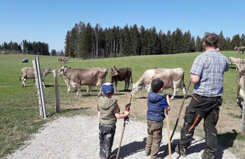 Veiter-Hof - Foto 48