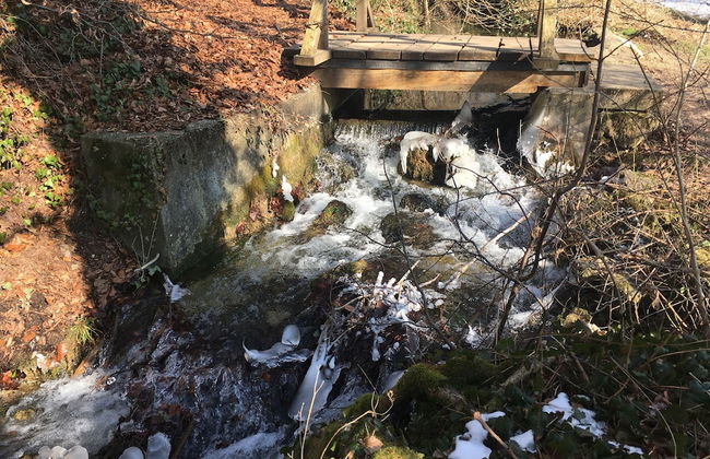 Ferienwohnung Gartenblick - Foto 17