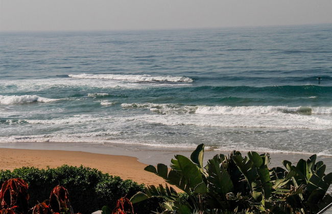 Carpe Diem - Photo 58