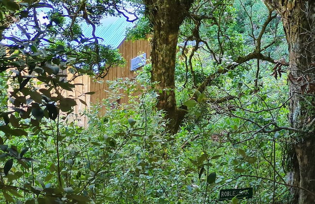 Macho Mora Mountain Lodge - Foto 18