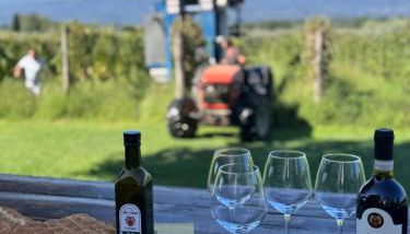 Agriturismo San Jacopo - Foto 5