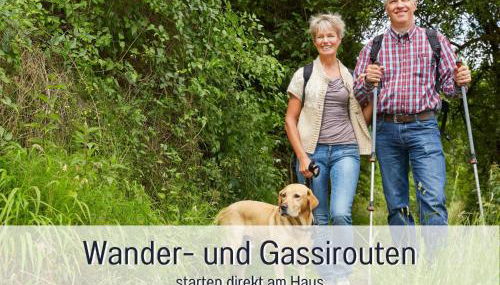 OLIVE - Ruhe & Entspannung in 2-Zi-Fewo mit Garten-Whirlpool, Terrasse & Hund willkommen by FerienWohnenAmSee - Foto 4