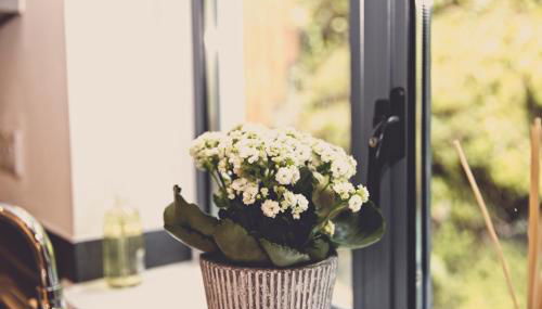 Fowey Landing - Foto 5