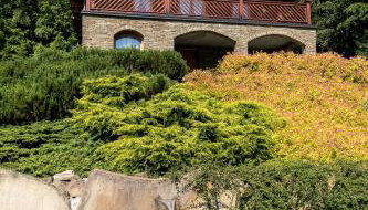 Kotelnica Resort - Foto 3