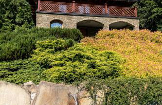 Kotelnica Resort - Foto 3