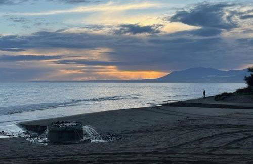 Casabel Beach Villa Playa Alicate Marbella - Photo 51