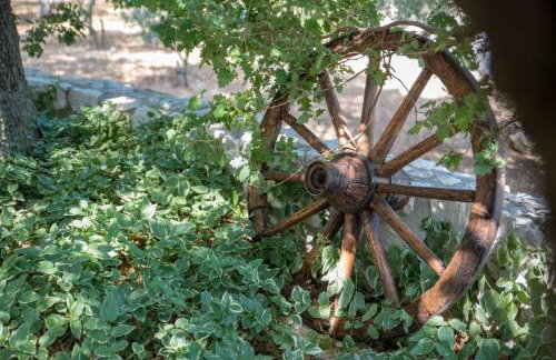 Holiday Home Zavala - Foto 37