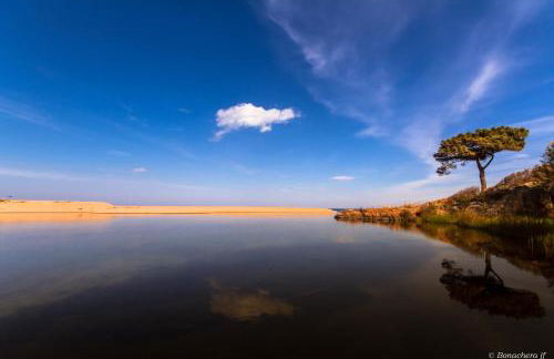 Résidence Saint Cyprien Plage - Foto 114
