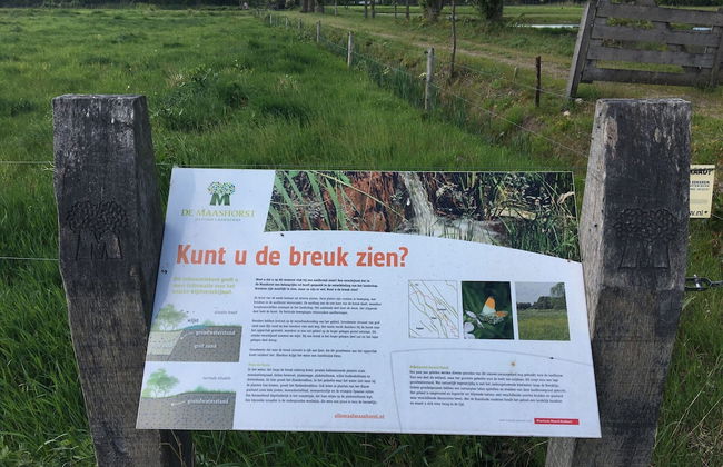 Cozy Holiday Home in Nistelrode With Garden - Photo 42