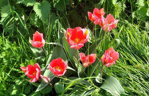Les Pieds dans l'eau, Gîte Le Blagour - Foto 23