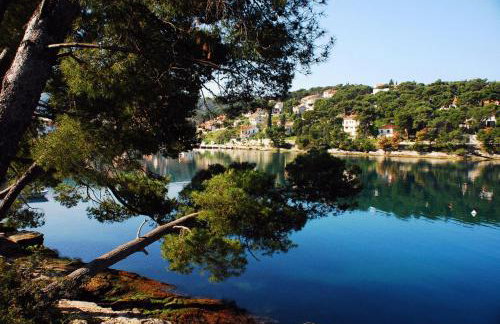 Apartments Vila Marija - Photo 61