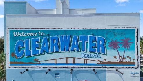 Clearwater Beach Pelican 2 - Photo 4