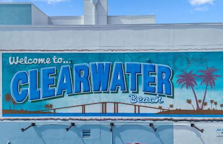 Clearwater Beach Pelican 2 - Foto 4