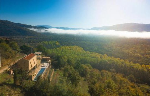 Villa Terra Motovun - Foto 14