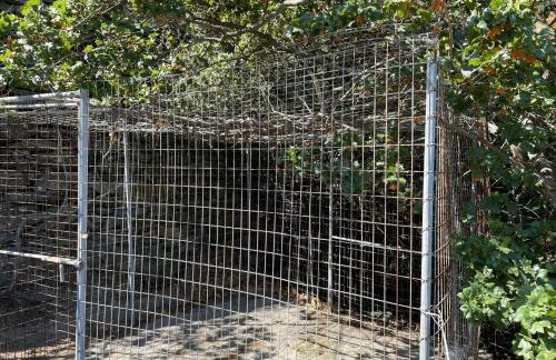 Nionas Cheerful House - Foto 18