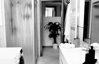 Residenza famiglia Moser - Foto 4