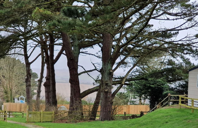 3 Bedroom Caravan, Sleeps 8, at Parkdean Newquay Holiday Park - Foto 64