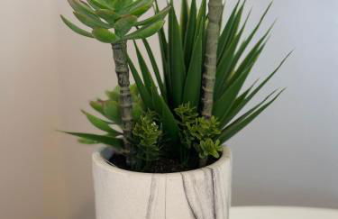 Casa Pupetta - Cuore di Salerno - Foto 21