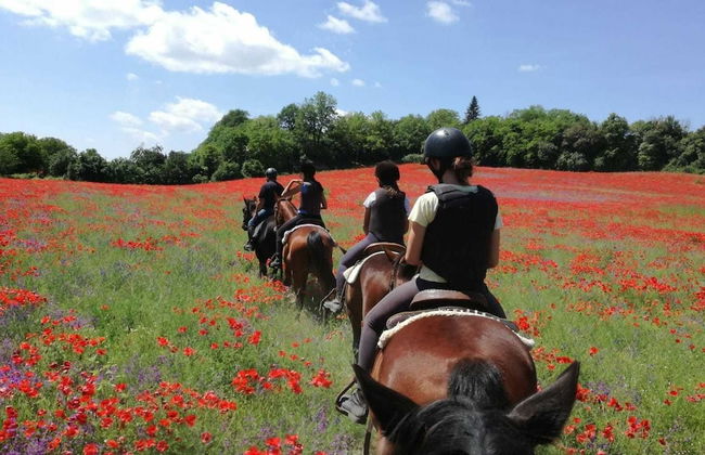 Agriturismo San Filippo - Foto 6