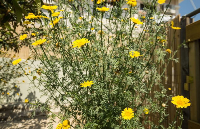 Splendid Views from a Cozy Cottage with a Garden Terrace - Foto 38