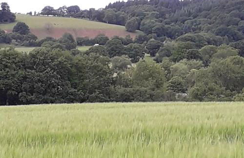 Lucea Cottage - Foto 35