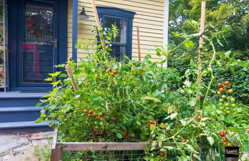 Vermont Lake Whitingham Mount Snow Area Apartment - Foto 21